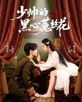 少帅的黑心菟丝花 封面