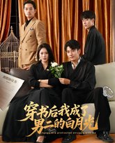 穿书后我成了男二的白月光 封面