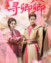 江山何处寻卿卿 封面