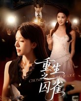 重生之囚雀 封面