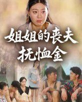 姐姐的丧夫抚恤金 封面