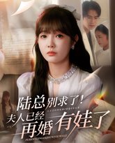 陆总别求了夫人已经再婚有娃了 封面