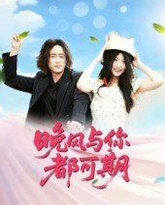 晚风与你都可期 封面