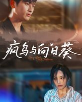 疯鸟与向日葵 封面