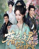 落花逢君冠中宫 封面