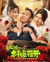 二龙湖·村暖花开2 封面