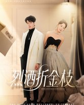 烈酒折金枝 封面