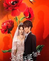 金燕还巢当感恩 封面