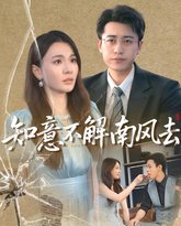 知意不解南风去 封面