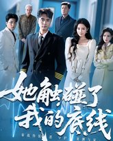 她触碰了我的底线 封面