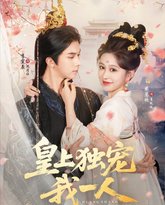 皇上独宠我一人 封面