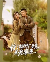 惊糙野厂长竟是老婆迷 封面