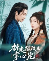 掠走摄政王掌心宠 封面