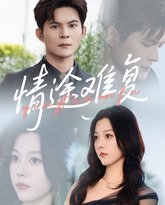 情途难复 封面