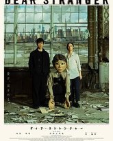 亲爱的陌生人 封面