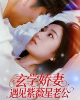 玄学娇妻遇见紫薇星老公 高清封面