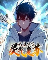 我主宰了灵气复苏 封面