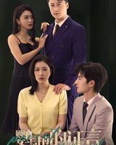 鹦鹉的证言 高清封面