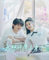 我想许愿在身边 封面