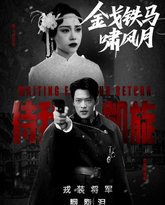 金戈铁马啸风月 封面