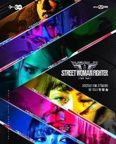 世界街头女斗士3 封面