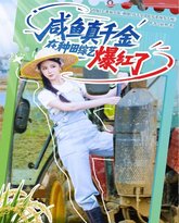 咸鱼真千金在种田综艺爆红了 封面