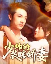 少帅的装瞎娇妻 高清封面