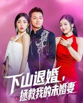 下山退婚拯救我的未婚妻 高清封面