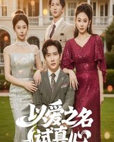 以爱之名试真心 封面