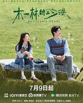 木一林的珍珠 封面