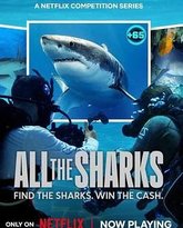 众里寻鲨 拍摄大作战 封面