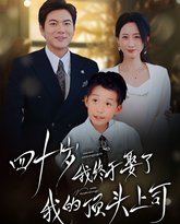 四十岁我终于娶了我的顶头上司 高清封面