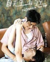 你是我目光里的星 封面