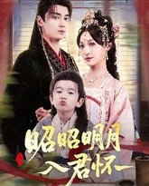 昭昭明月入君怀 高清封面