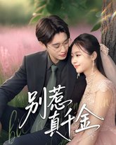 别惹真千金 高清封面