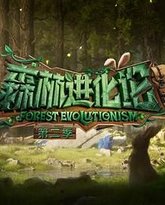 森林进化论 第二季 封面
