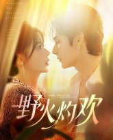 野火灼欢 高清封面