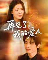 再见了我的爱人 高清封面