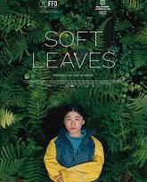 温柔的叶子 封面