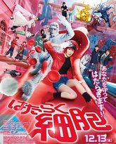 工作细胞 真人版 高清封面