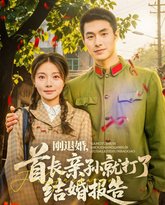 刚退婚首长亲孙就打了结婚报告 高清封面