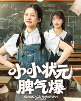 小小状元脾气爆 封面