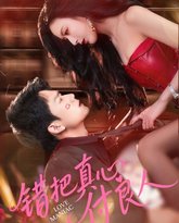 错把真心付良人 高清封面