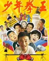 少年拳王 封面