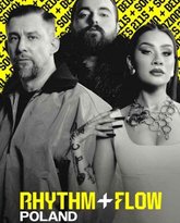 嘻哈星节奏：波兰篇 封面