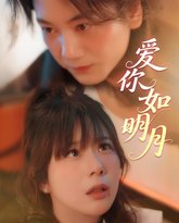爱你如明月 高清封面