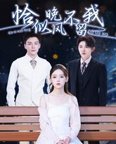 恰似晚风不留我（弃他如风） 高清封面