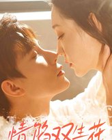 情陷双生花 高清封面