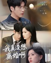 我真没想离婚啊 高清封面