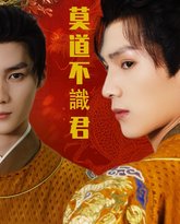 莫道不识君 高清封面